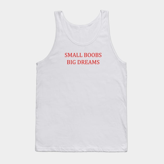 small boobs big dreams funny quote Tank Top by eccosdesign